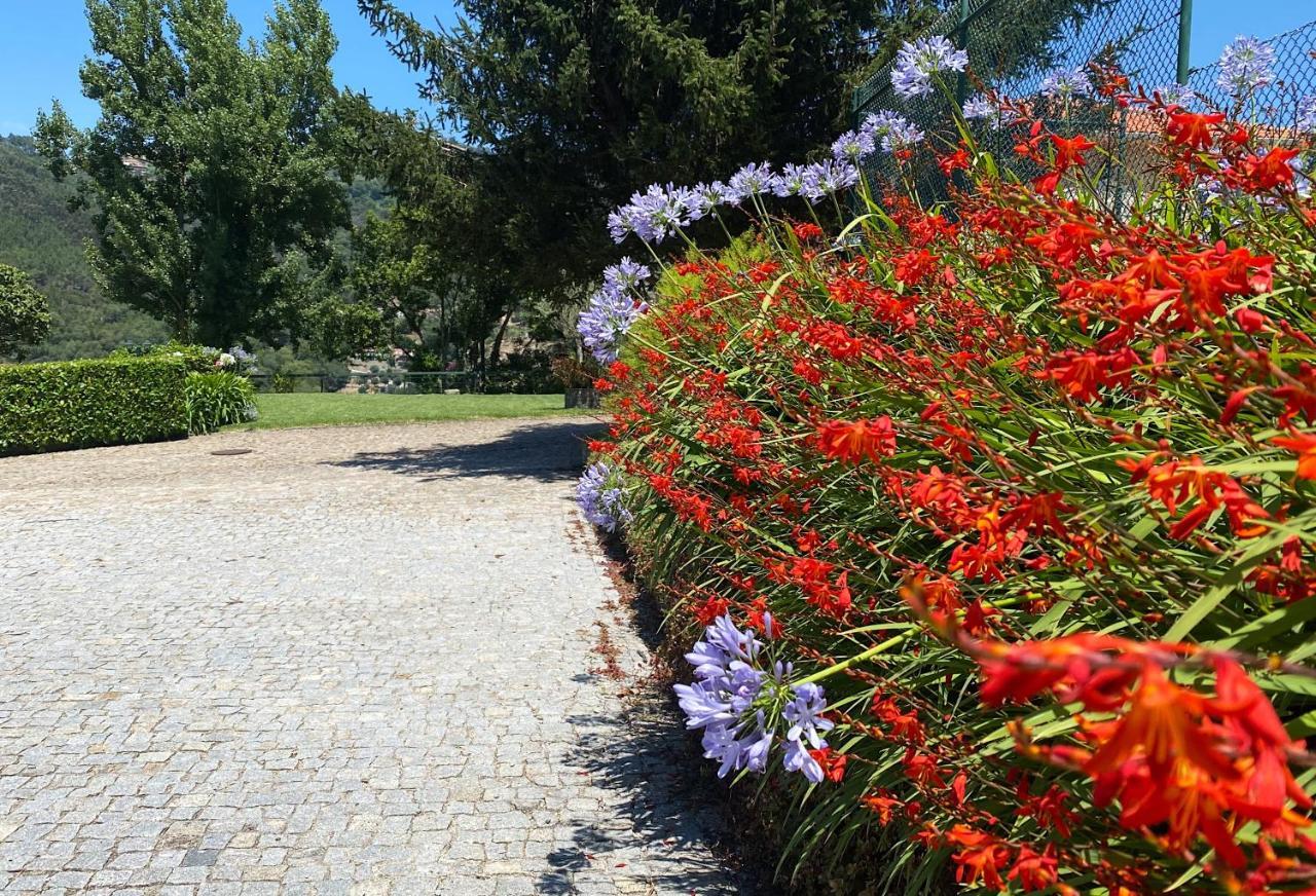 Quinta Da Porta Caseira Guest House Resende Exterior photo